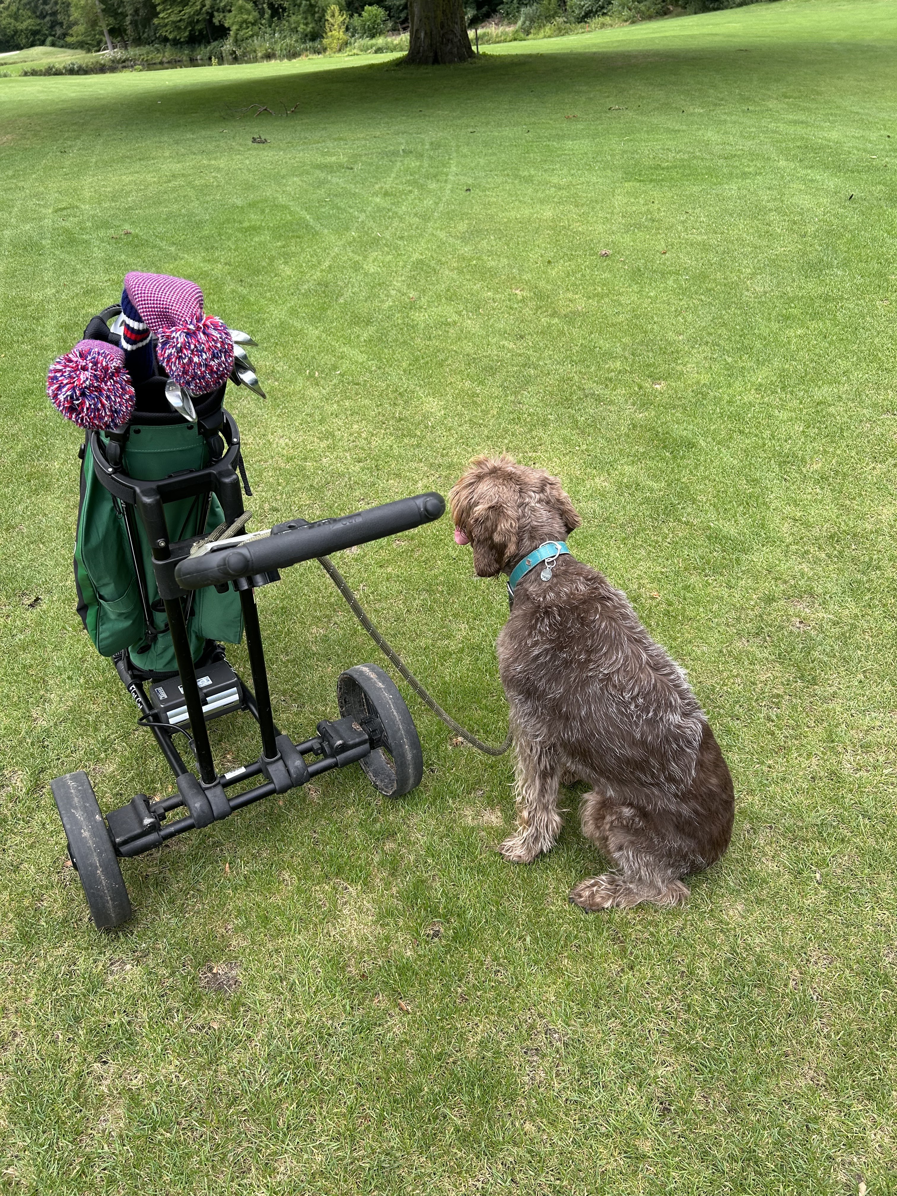 Photo n° 3 de l'avis de brigitte.o fait le 30/07/2023 à 13:01