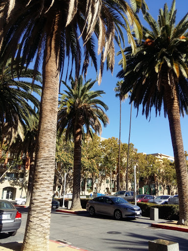 Grocery Store «Safeway Market», reviews and photos, 100 S 2nd St, San Jose, CA 95113, USA