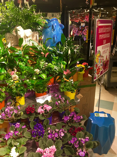 Supermarket «Big Y», reviews and photos, 1 E Silver St, Westfield, MA 01085, USA