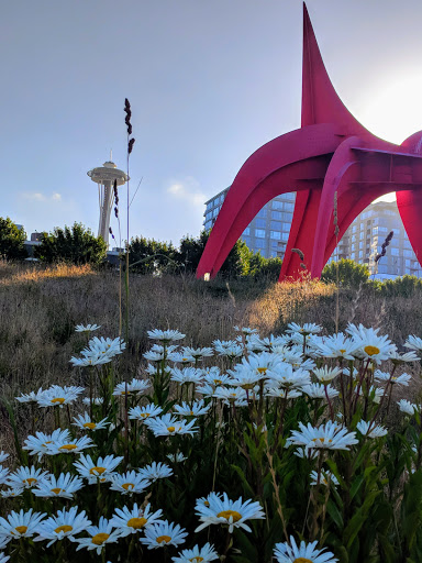 Park «Olympic Sculpture Park», reviews and photos, 2901 Western Ave, Seattle, WA 98121, USA