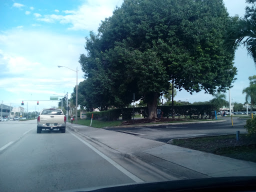 Grocery Store «Winn-Dixie», reviews and photos, 308 E Dania Beach Blvd, Dania Beach, FL 33004, USA