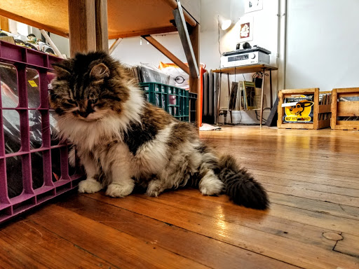 Record Store «Irvington Vinyl», reviews and photos, 9 Johnson Ave, Indianapolis, IN 46219, USA