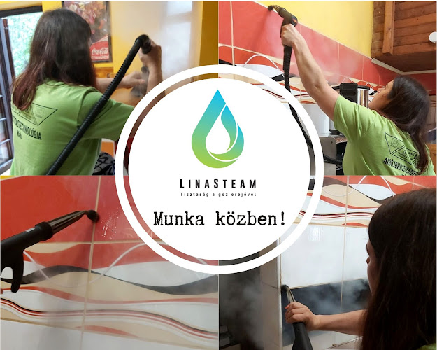 LinaSteam - Tisztaság a száraz gőz erejével - Takarítási szolgáltatás
