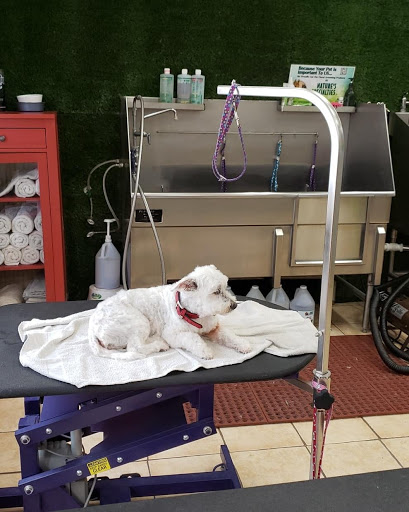 Pet Supply Store «Pet Haven», reviews and photos, 626 N Glenoaks Blvd, Burbank, CA 91502, USA