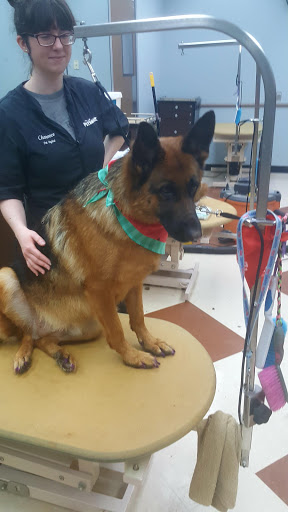 Pet Supply Store «PetSmart», reviews and photos, 17180 Mercantile Blvd, Noblesville, IN 46060, USA