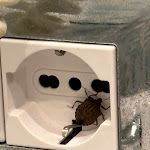 Photo n°2 de l'avis de Alisea.i fait le 03/11/2023 à 11:46 sur le  San Valentino à Rome