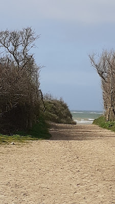Plage du Chatelet à Tardinghen