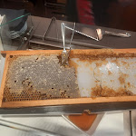 Photo n°1 de l'avis de Tanja.u fait le 11/08/2023 à 10:50 sur le  Bar Centrale à Cles