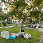 Photo n°5 de l'avis de mariangela.a fait le 02/10/2023 à 13:50 sur le  Villa Edelweiss à Bacoli