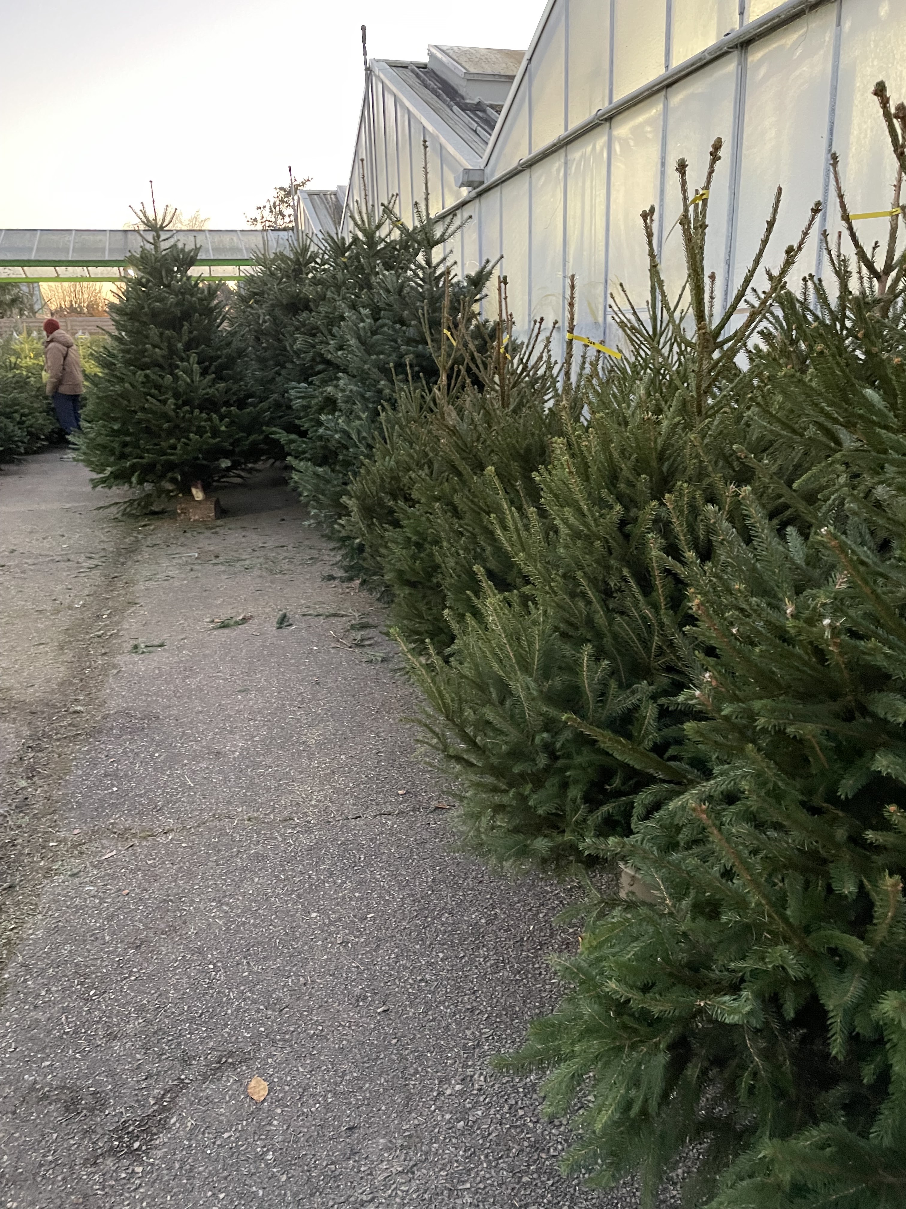 Photo n° 2 de l'avis de fannapm. fait le 05/12/2023 à 14:51
