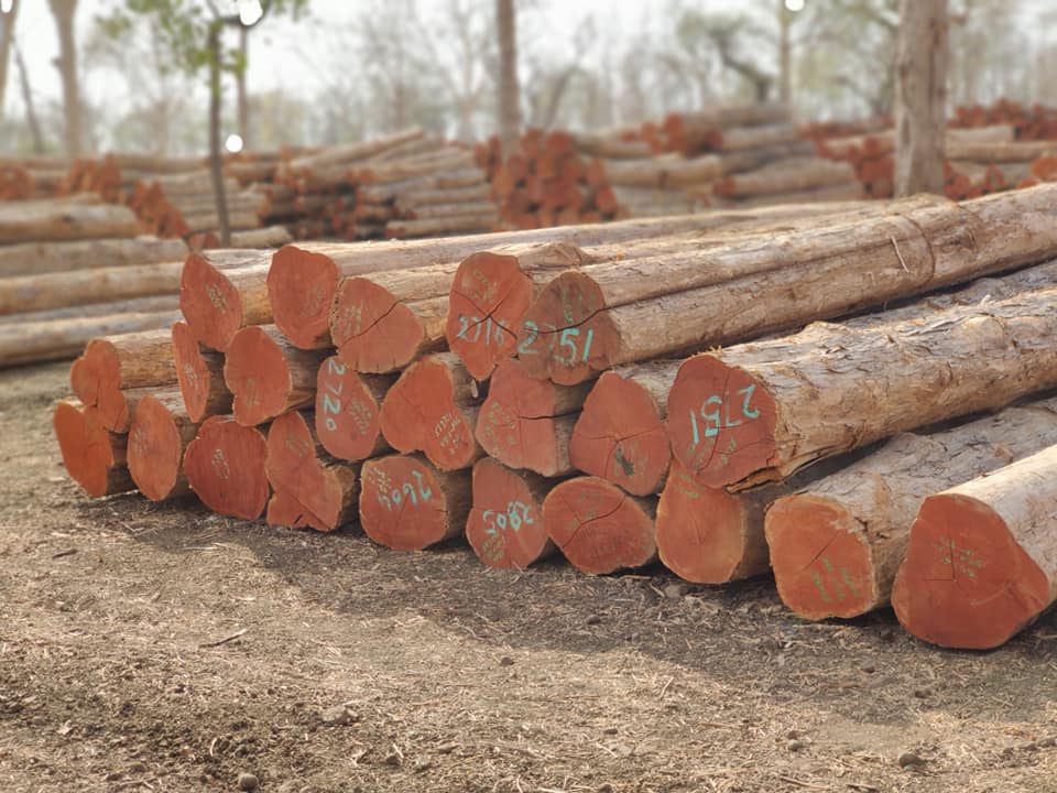 Pukharaj Timber Traders