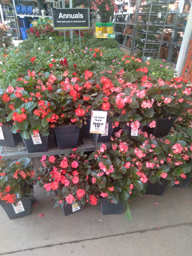 Home Improvement Store «The Home Depot», reviews and photos, 135 Commercial Rd, Leominster, MA 01453, USA