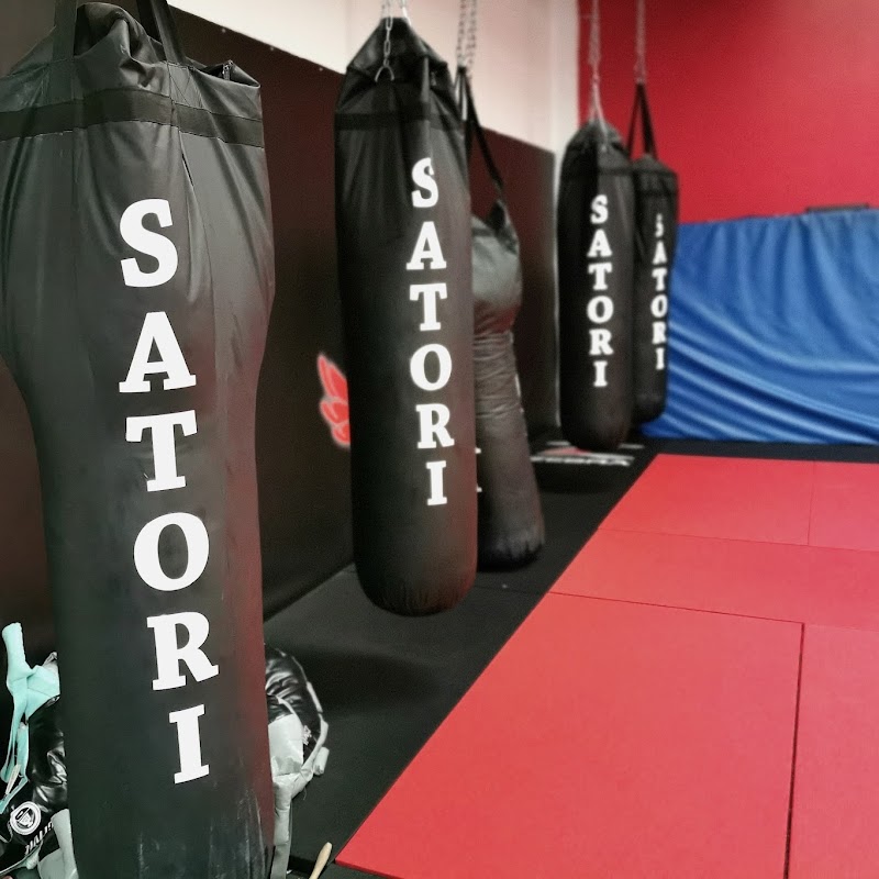 Satori BJJ