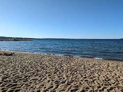 Clinch Park Beach'in fotoğrafı ve yerleşim