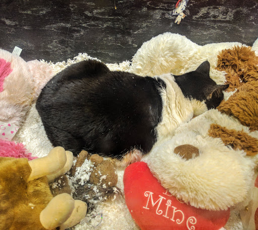 Pet Supply Store «Litterpaw Pet Supply», reviews and photos, 267 S 10th St, Philadelphia, PA 19107, USA