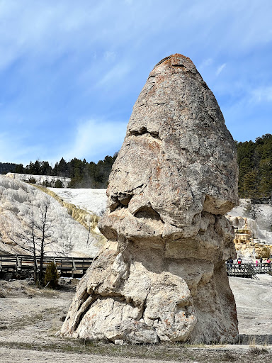 National Park «Yellowstone National Park», reviews and photos