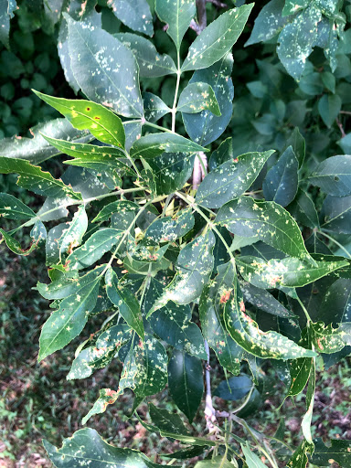 Hardware Store «Hardware Hank», reviews and photos, 1017 Central Ave NW, East Grand Forks, MN 56721, USA