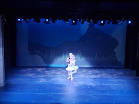 McLean Community Center - Photo 9 - Car repair in McLean, VA, Arlington