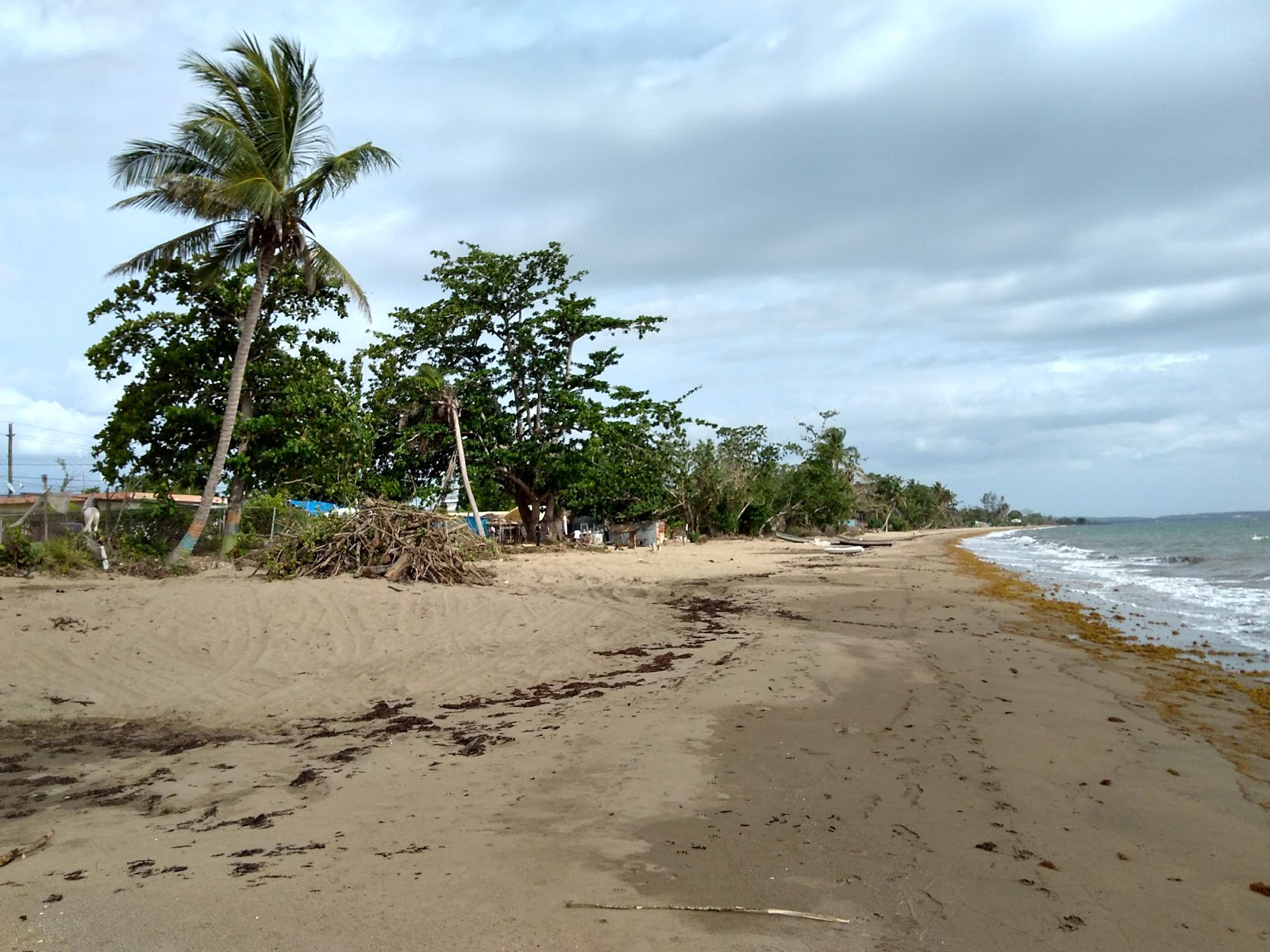 Foto di Playa Sabaneta con dritto e lungo