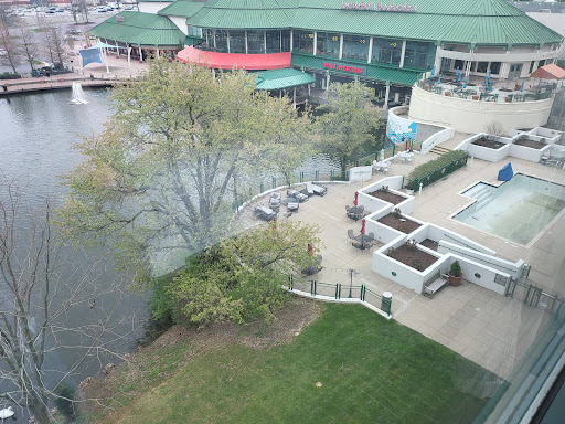 Shopping Mall «The Mall At Lexington Green», reviews and photos, 161 Lexington Green Cir, Lexington, KY 40503, USA