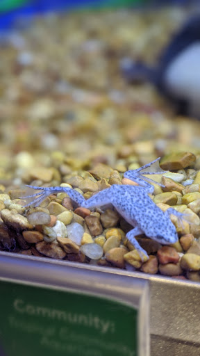 Pet Supply Store «PetSmart», reviews and photos, 1040 Cross Creek Dr, Saltillo, MS 38866, USA