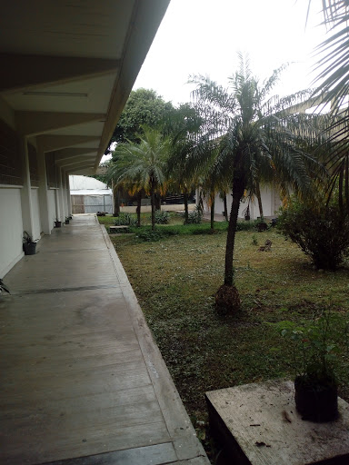 Fac. de Ciencias Biológicas y Agropecuarias – Peñuela - Universidad Veracruzana