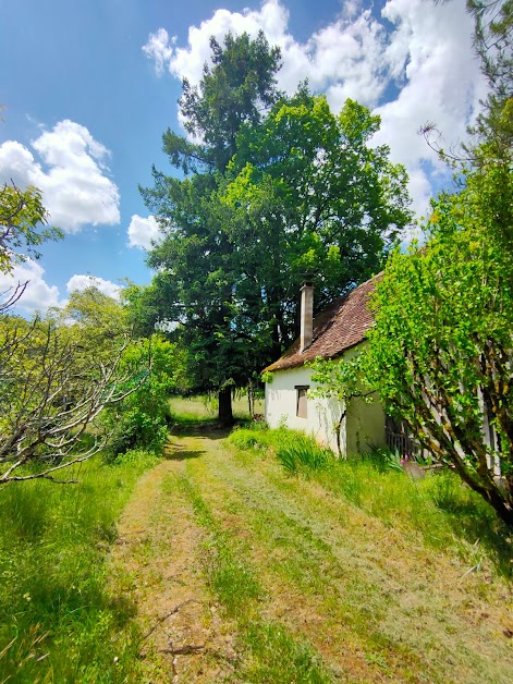 Les Fosses à Saint-Médard (Lot 46)