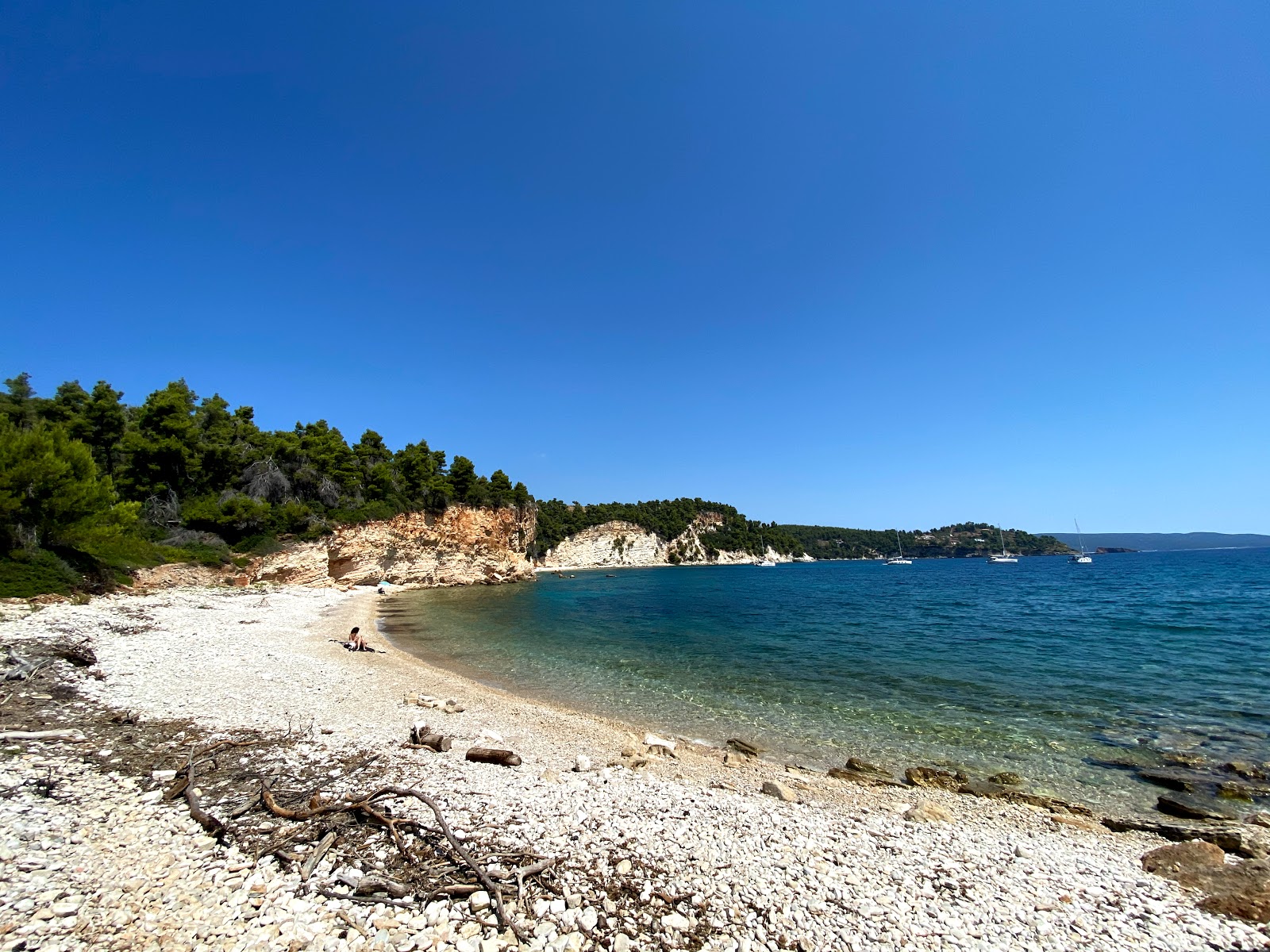 Zdjęcie Spartines beach z powierzchnią szary kamyk