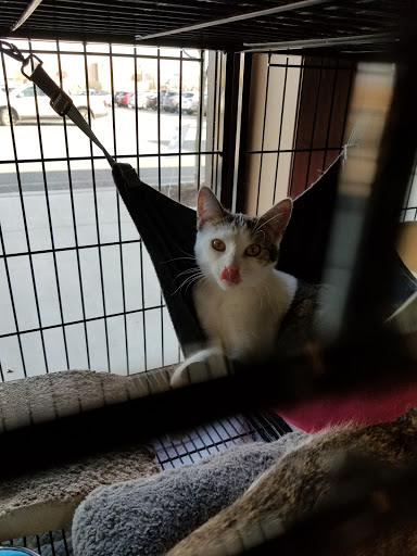 Pet Store «Pet Valu», reviews and photos, 4904 Edgmont Ave, Brookhaven, PA 19015, USA