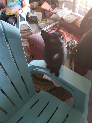 Department Store «Target», reviews and photos, 7899 Wadsworth Blvd, Arvada, CO 80003, USA