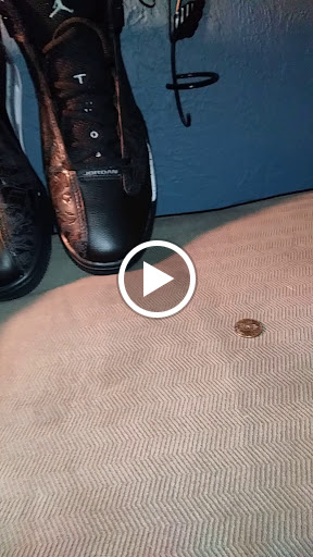 Used Clothing Store «Buffalo Exchange Houston», reviews and photos, 2901 S Shepherd Dr, Houston, TX 77098, USA