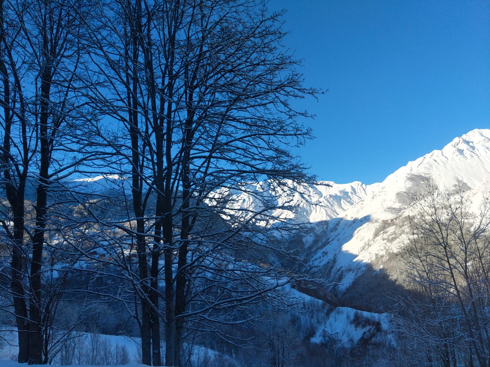 Photo n° 18 de l'avis de Christophe.E fait le 21/01/2024 à 18:45