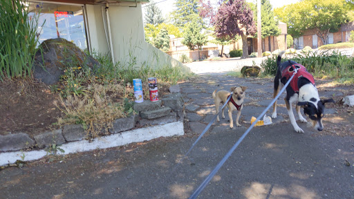 Pet Supply Store «Pacific Pets», reviews and photos, 528 SE Baseline St, Hillsboro, OR 97123, USA