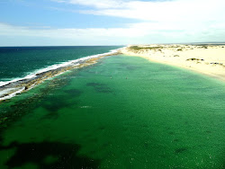 Photo de Lucky Bay Shacks zone sauvage