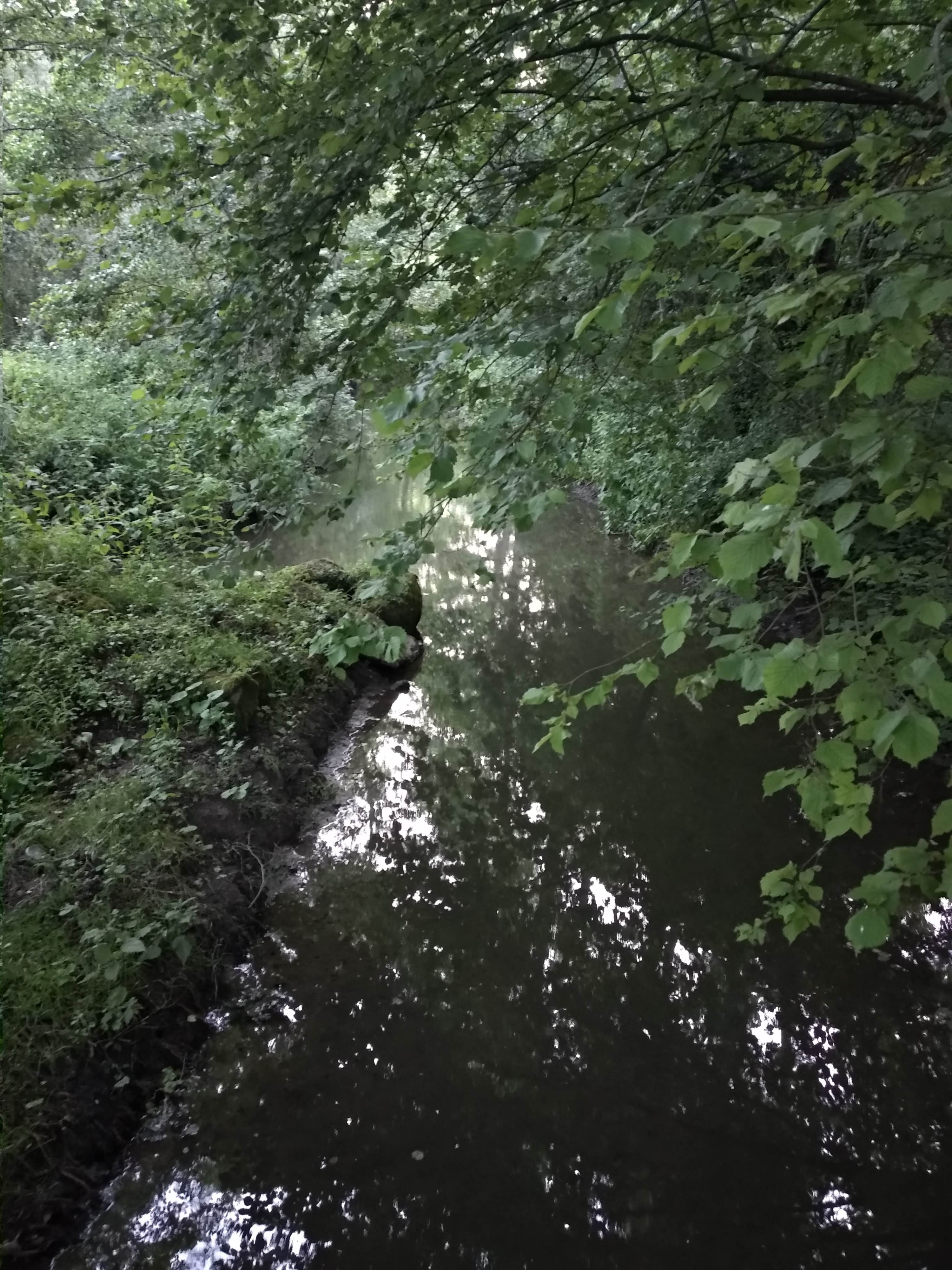 Photo n° 13 de l'avis de Taras.a fait le 17/06/2019 à 05:19