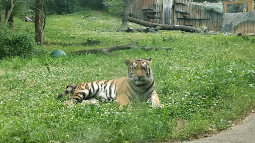 Zoo «Minnesota Zoo», reviews and photos, 13000 Zoo Blvd, Apple Valley, MN 55124, USA