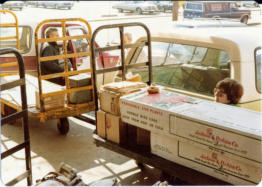Post Office «United States Postal Service», reviews and photos, 205 W Church St, Alexandria, IN 46001, USA