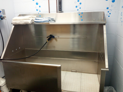 Pet Supply Store «Croton Pet Station», reviews and photos, 420 S Riverside Ave, Croton-On-Hudson, NY 10520, USA