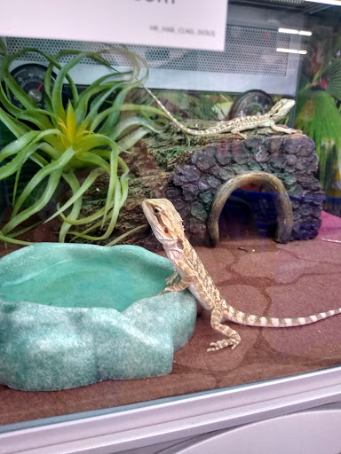 Pet Store «PetSmart», reviews and photos, 147 Bath Rd a140, Brunswick, ME 04011, USA