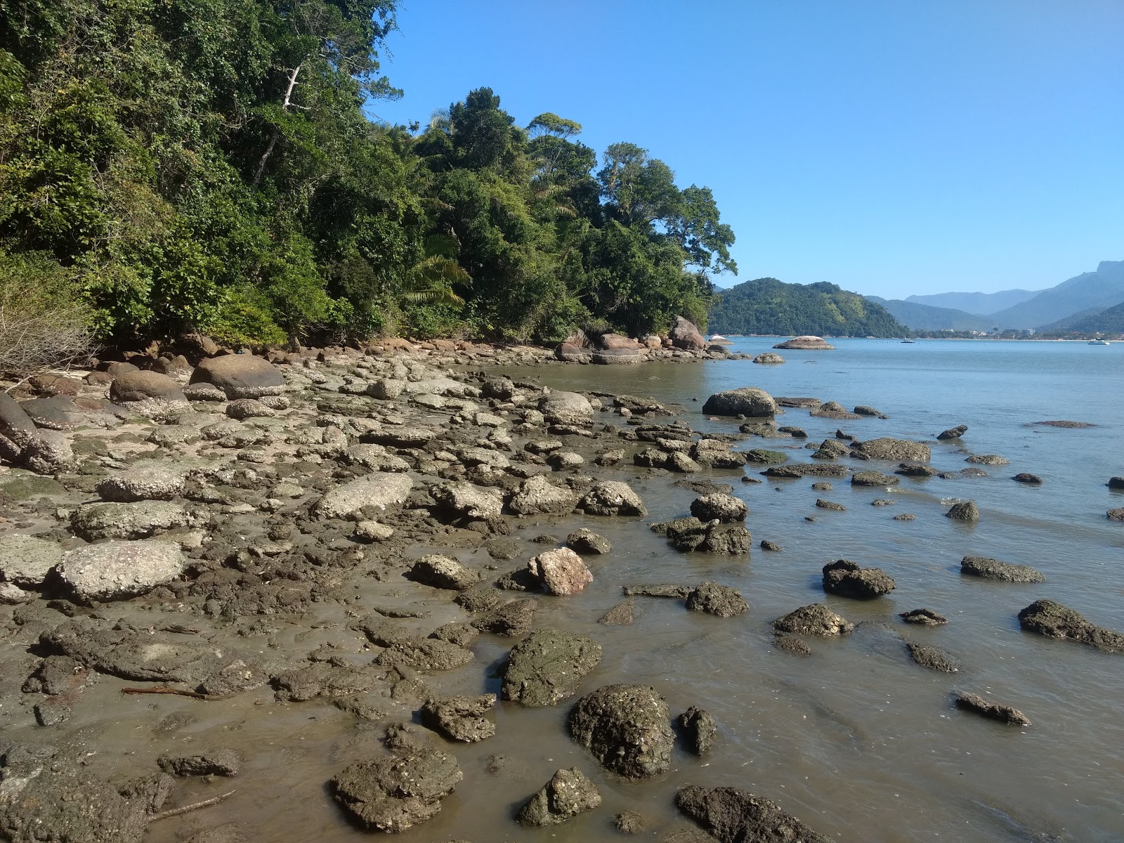 Praia Saco da Mae Maria'in fotoğrafı uçurumlarla desteklenmiş