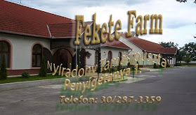 Fekete Farm