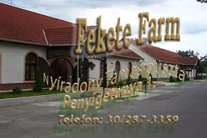 Fekete Farm image
