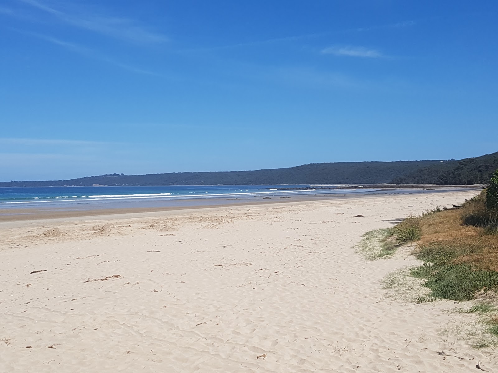 Fotografie cu Waratah Beach zonă sălbatică