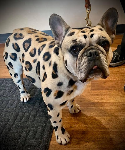 16714 Meridian E #1, Puyallup, WA 98375, USA