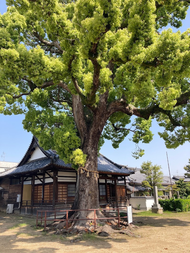 観音寺