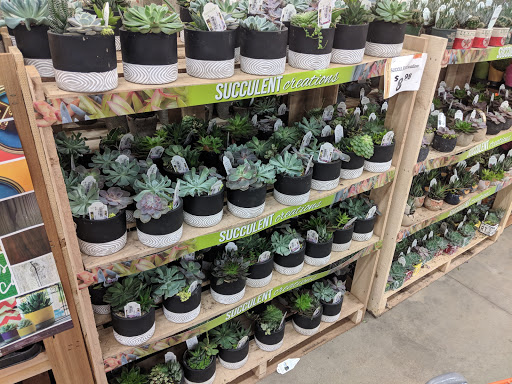 Home Improvement Store «The Home Depot», reviews and photos, 701 Boston Post Rd E, Marlborough, MA 01752, USA