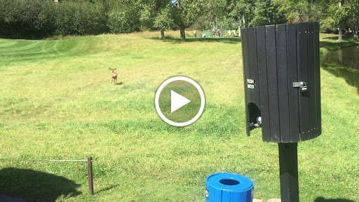 Golf Club «EagleVail Golf Club», reviews and photos, 459 Eagle Drive, Avon, CO 81620, USA