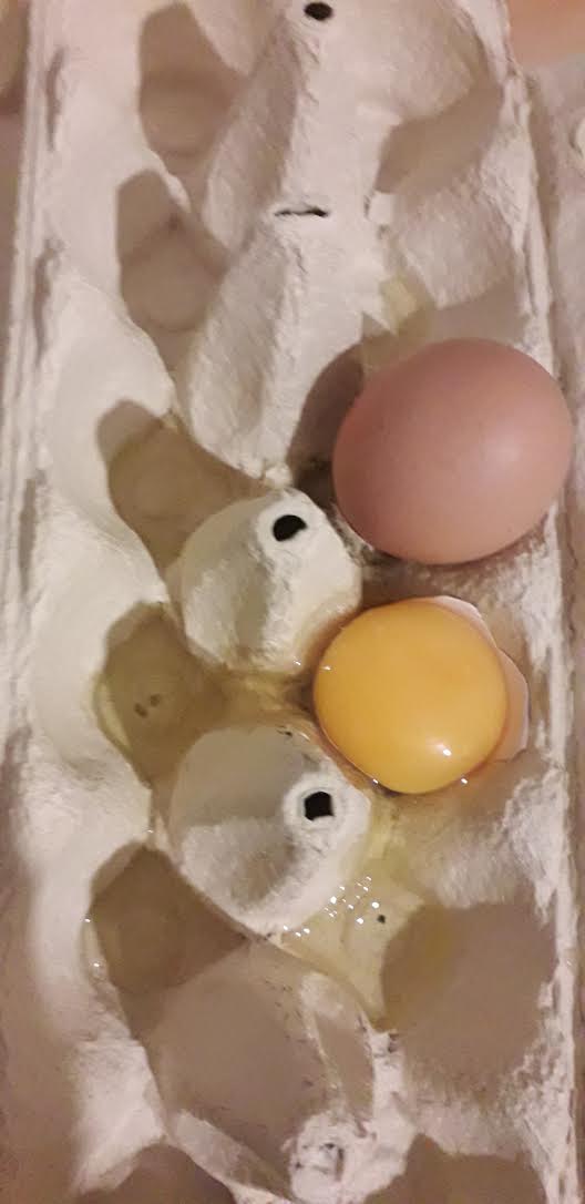 Photo n° 1 de l'avis de Adwin.a fait le 11/03/2020 à 23:34