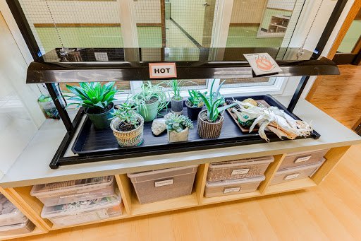 Preschool «Bright Horizons at Bellevue», reviews and photos, 505 106th Ave NE #100, Bellevue, WA 98004, USA