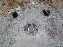 Bats B Gone Wildlife - Photo 4 - Car repair in Riverside, CT, Stamford